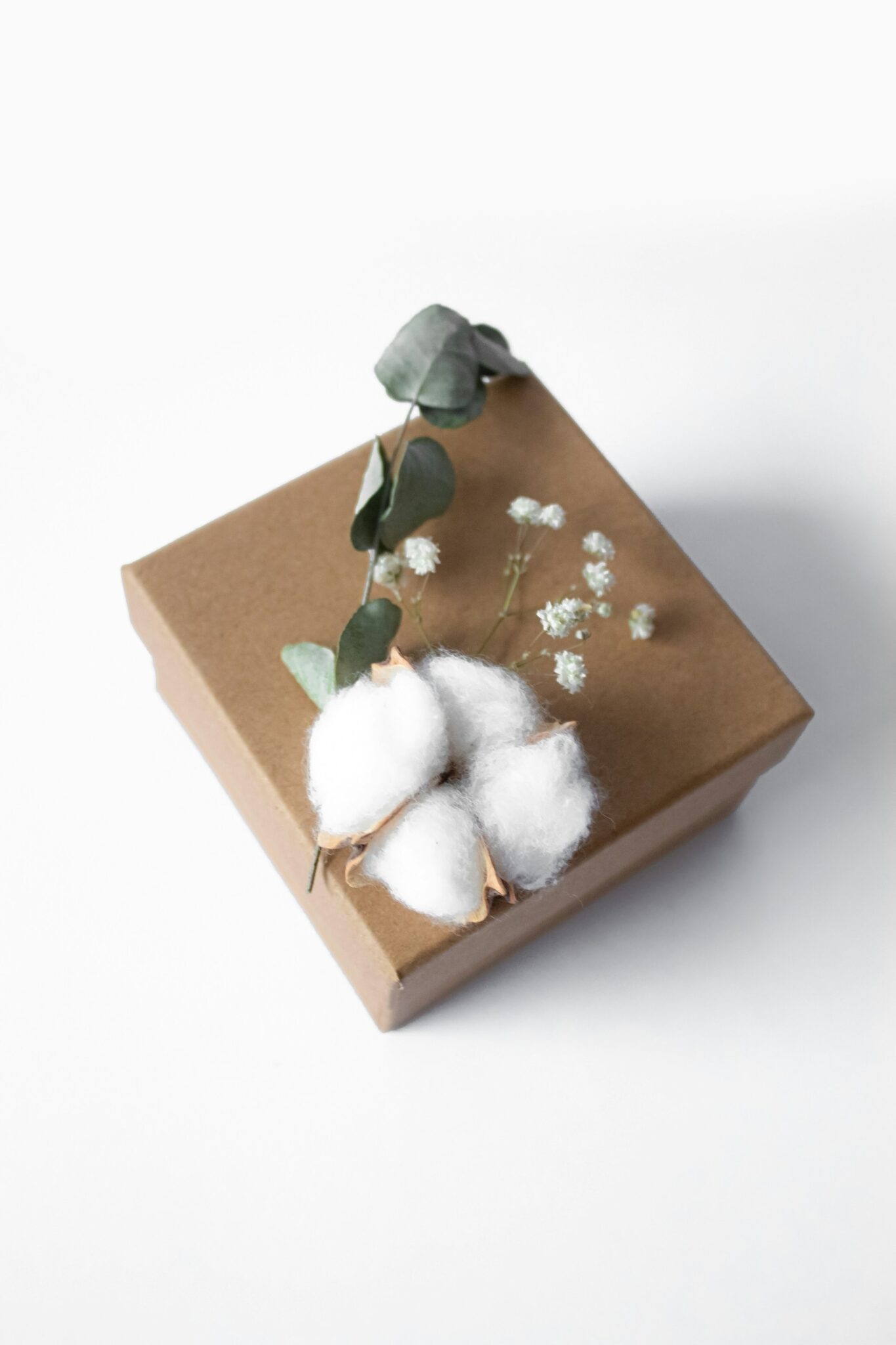 Brown Gift Box Mission Save Montana