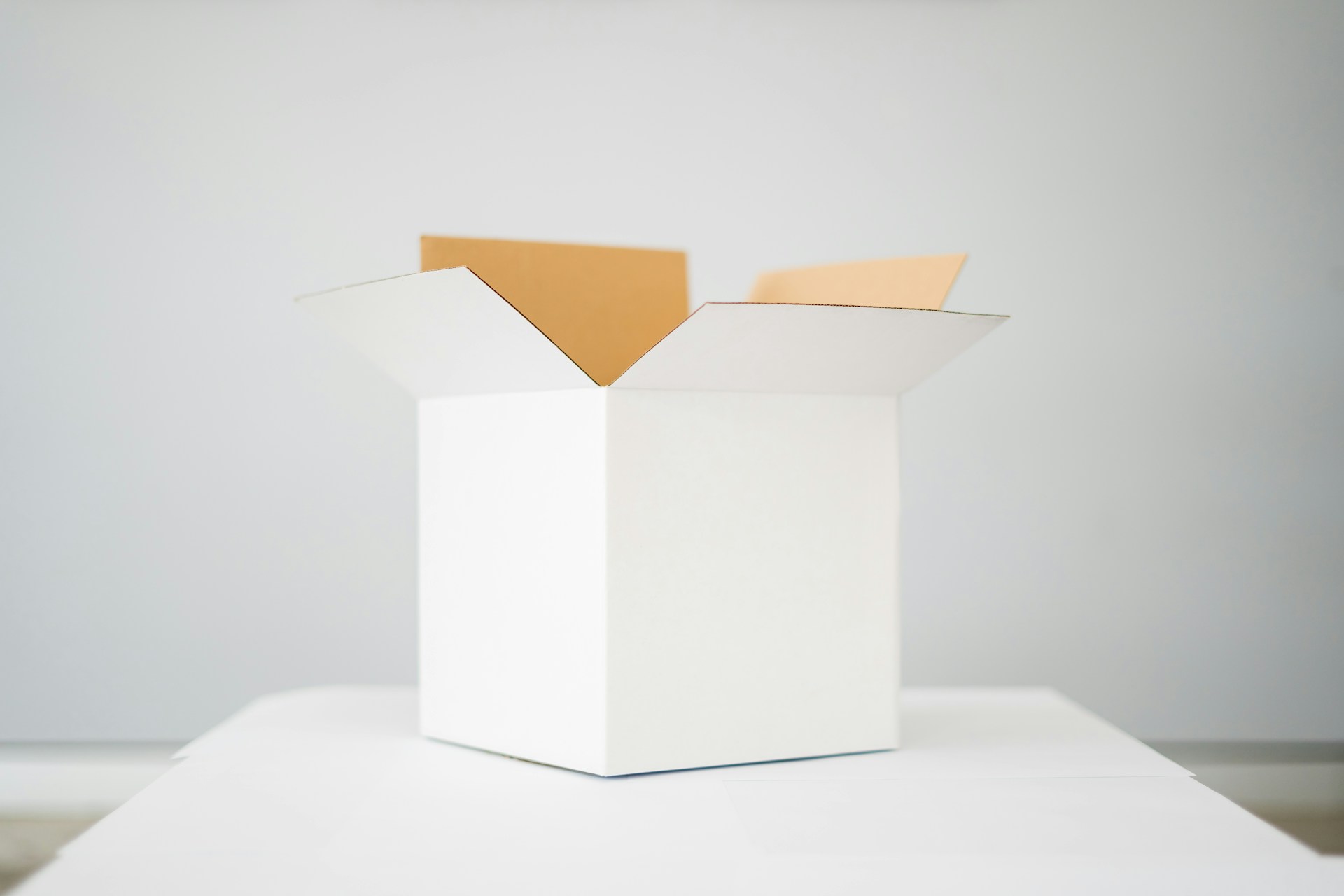 White Gift Box Mission Save Montana