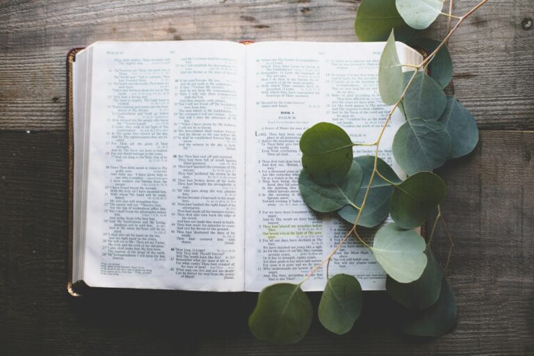 The Great Commission Article header