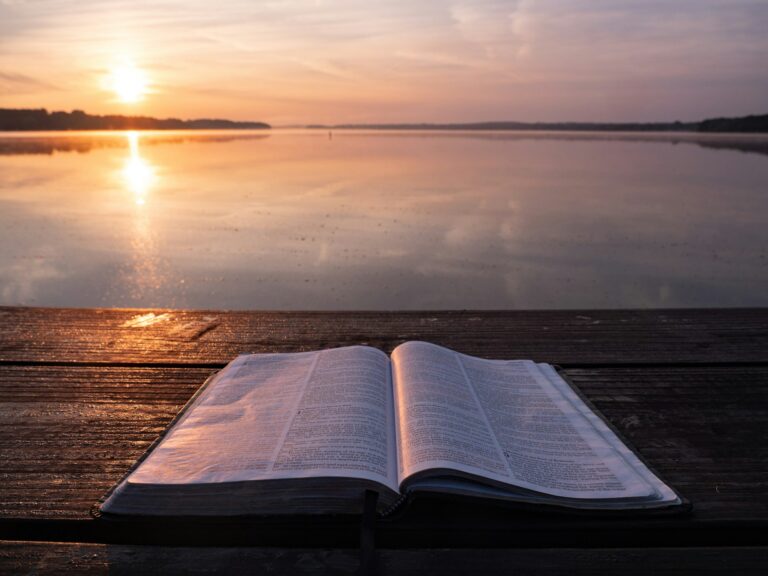 Holy Books of the Bible: