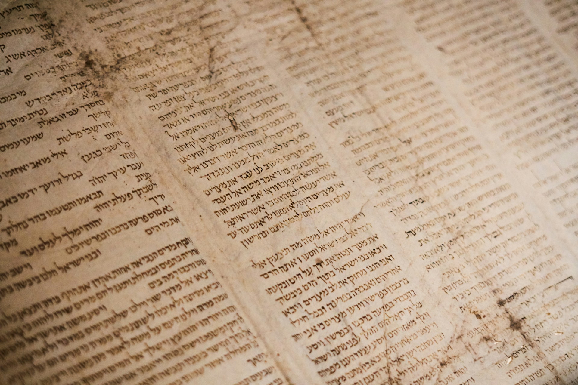 whats in the box - scripture