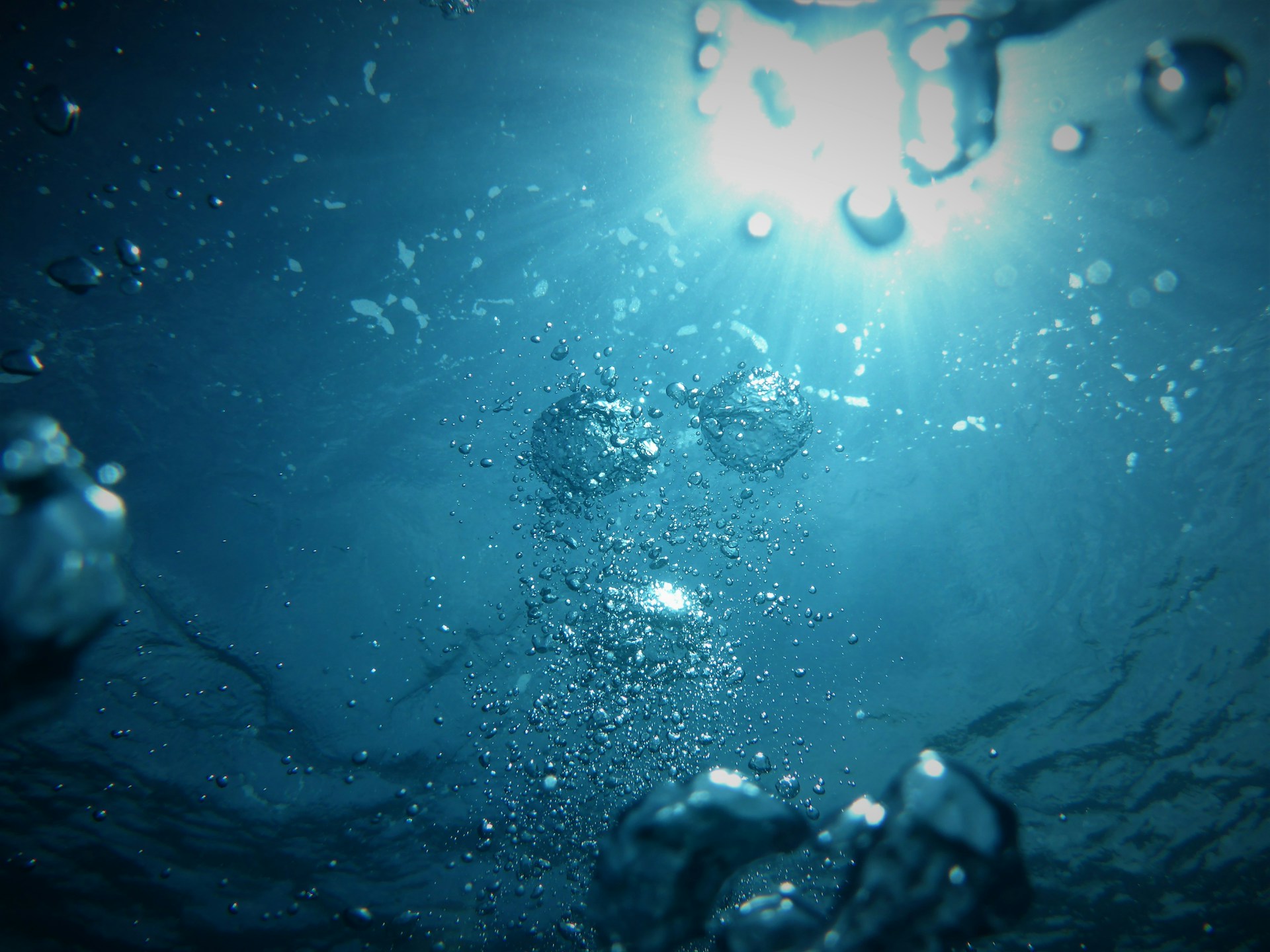 whats in the box - water