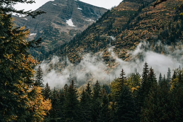 The Beauty of Our State article header