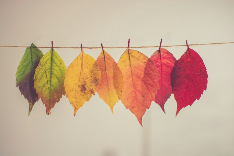 Dealing With Rapid Change featured image