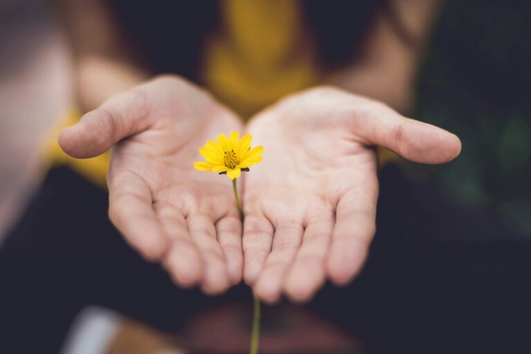 The Biblical View of Stewardship and Giving featured image