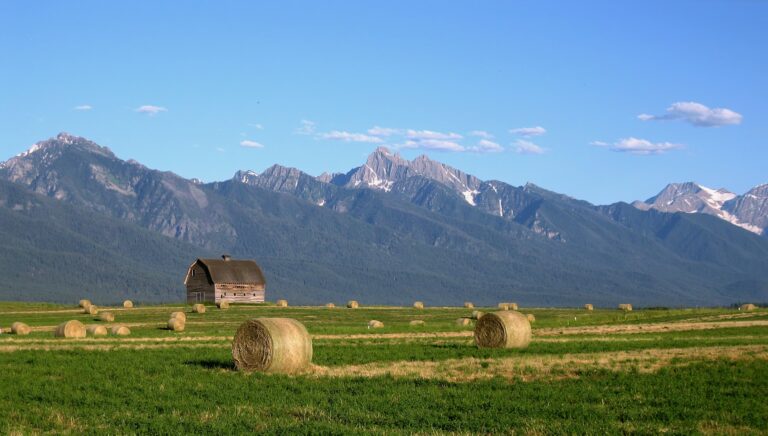 10 Ways Christians Can Serve Their Communities in Montana featured image